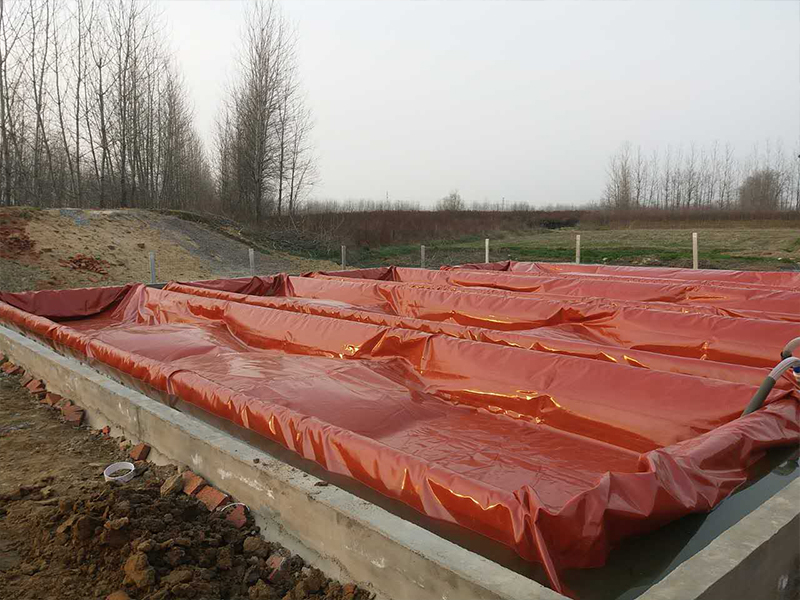 1701411207141840.jpg 0.jpg